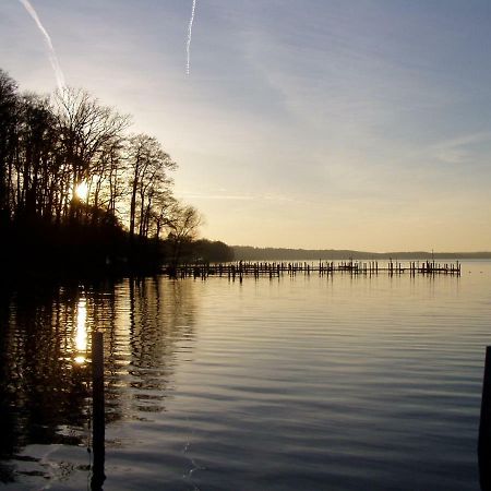 Ferienwohnungen Am Werbellinsee Schorfheide Zewnętrze zdjęcie